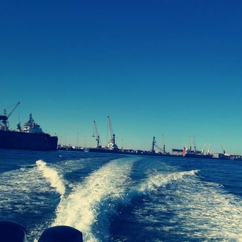 Photo #6594090