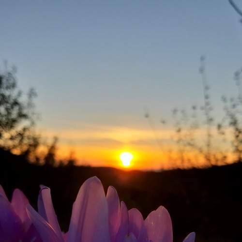 Photo #6594229