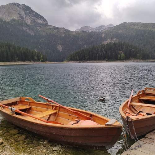 Photo #6594806