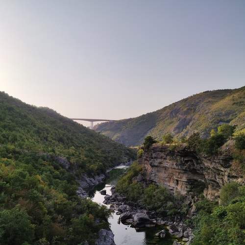 Photo #6594896
