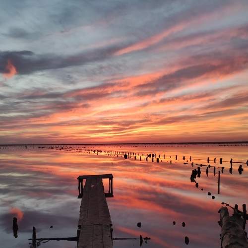 Photo #6594901