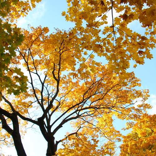 Photo #6595021