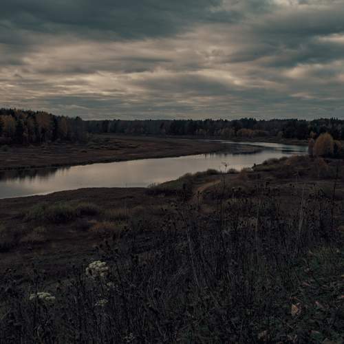 Photo #6595254
