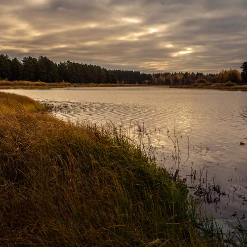 Photo #6595326