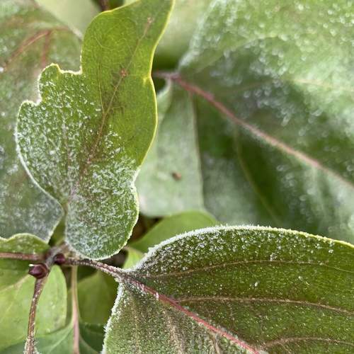 Photo #6595633