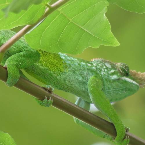 Photo #6595679