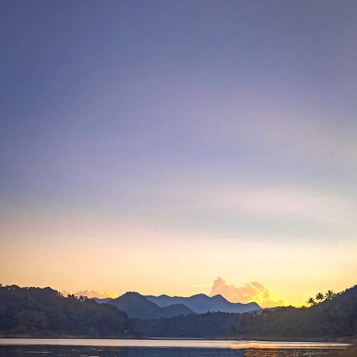 Photo #6596022