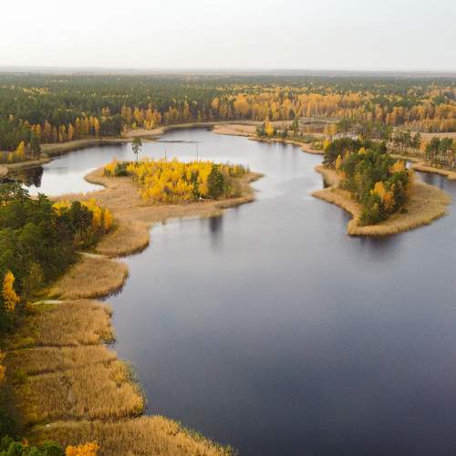 Photo #6596033