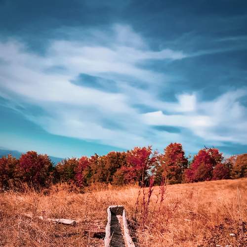 Photo #6596261