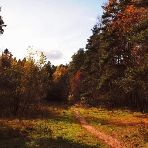 Photo #6596275