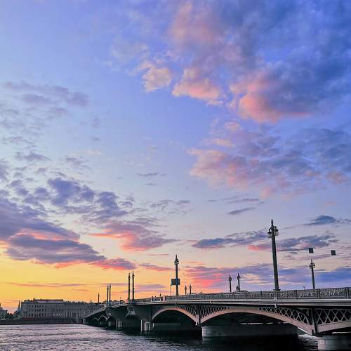 Photo #6596305