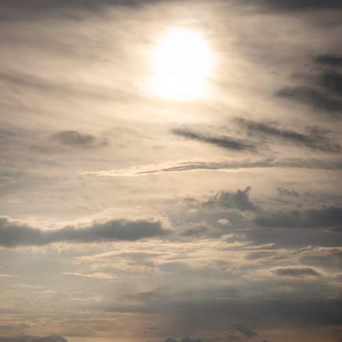 Photo #6596378