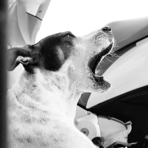 Photo #6596566