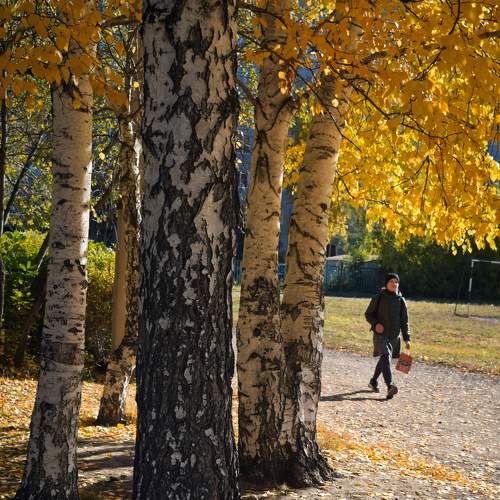 Photo #6596809