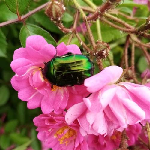 Photo #6596854