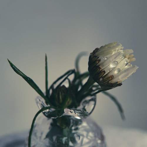 Photo #6597272