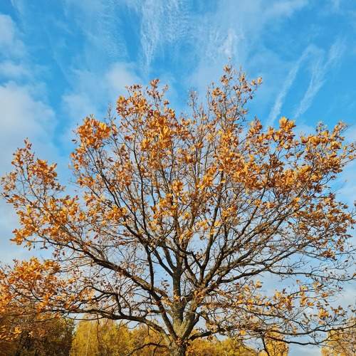 Photo #6597294