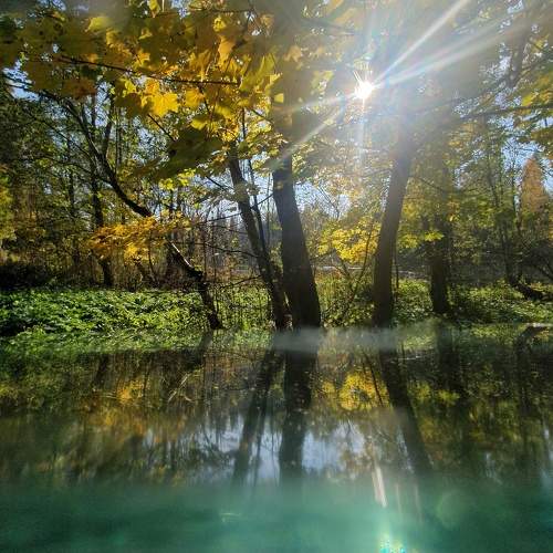Photo #6597408