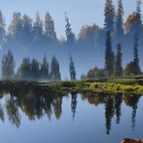 Photo #6597446