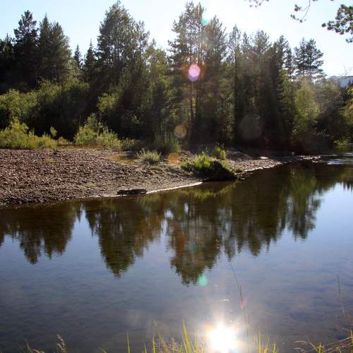 Photo #6597545