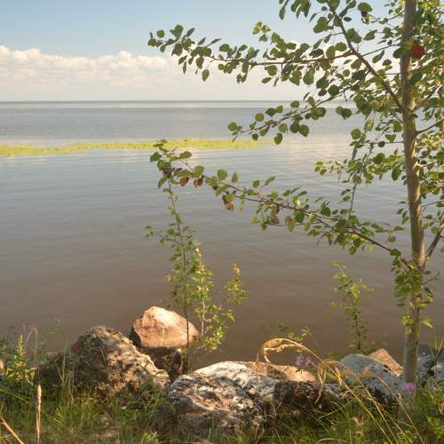 Photo #6597640