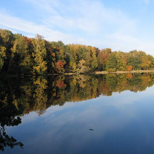 Photo #6597645
