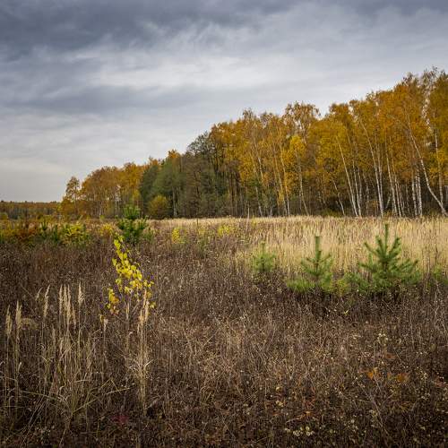 Photo #6597927