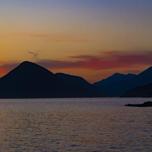 Photo #6597944