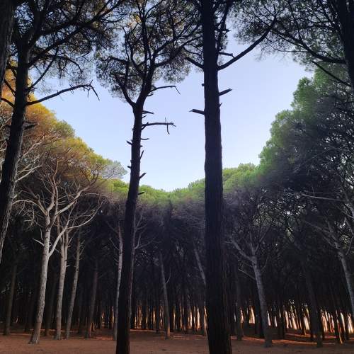 Photo #6598025