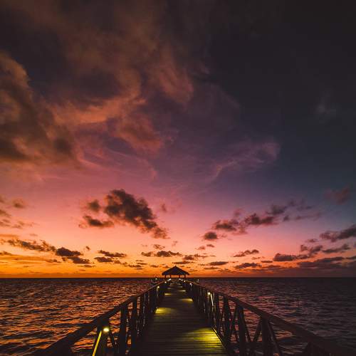 Photo #6598044