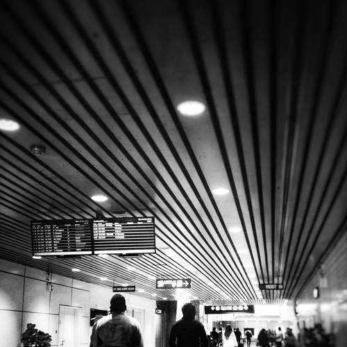 Photo #6598129
