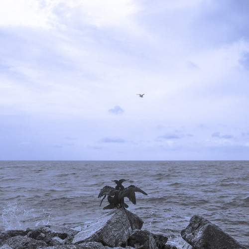 Photo #6598196
