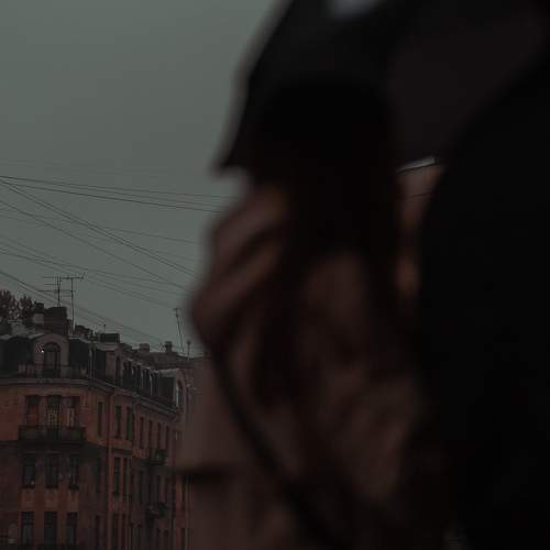Photo #6598280