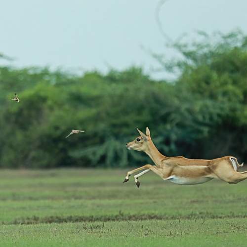 Photo #6598373