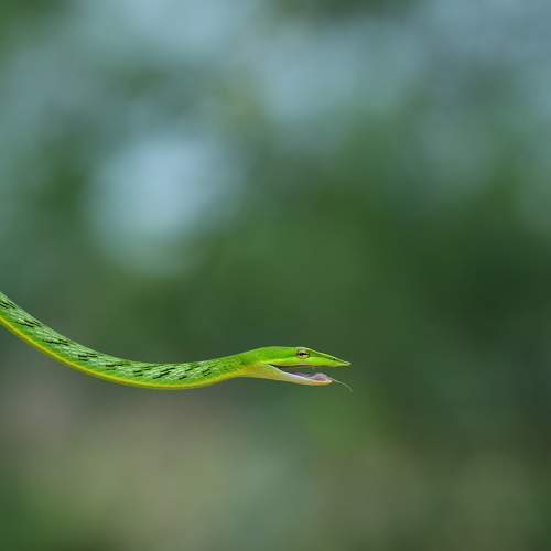 Photo #6598391