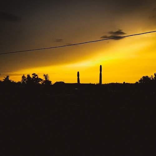 Golden Night