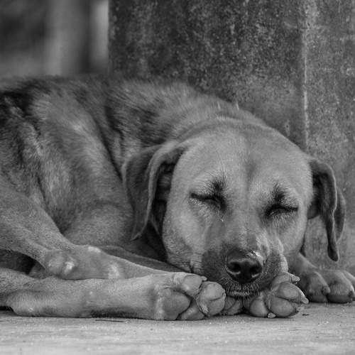 Photo #6598982