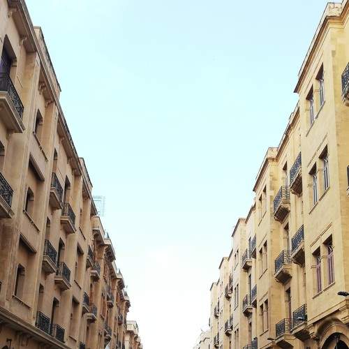 Photo #6599266