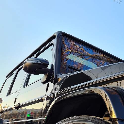 Photo #6599523