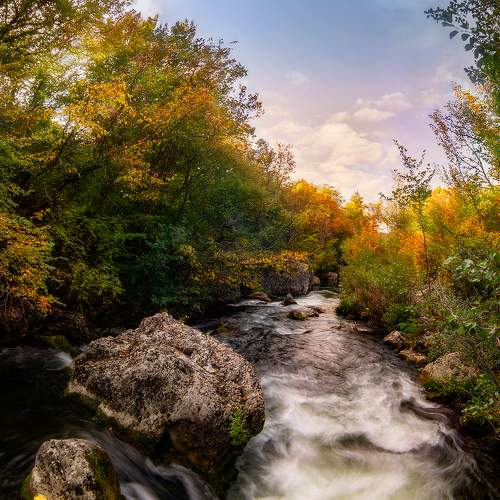 Photo #6599630