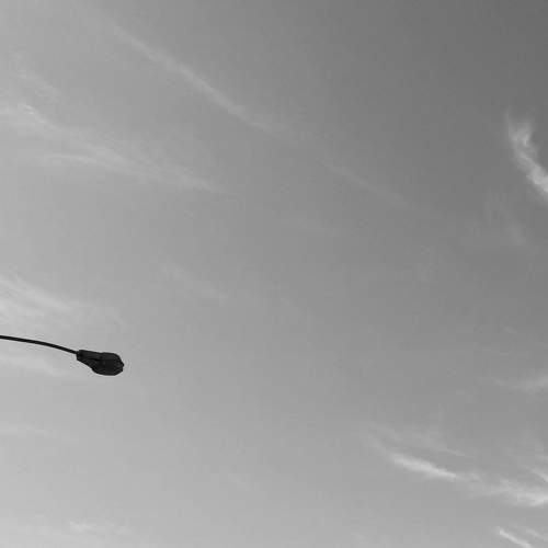Photo #6599973