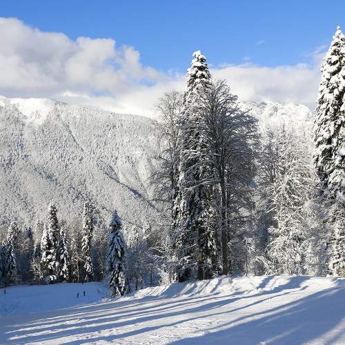 Photo #6600089