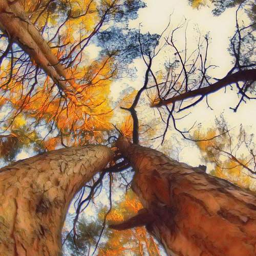 Photo #6600227