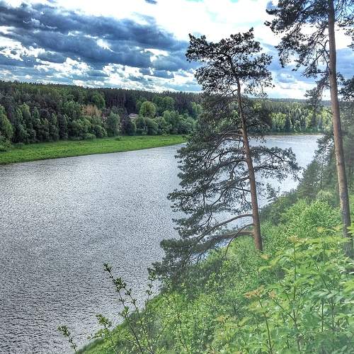 Photo #6600259