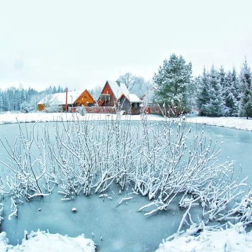 Photo #6600260