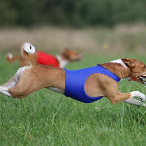 Photo #6600583