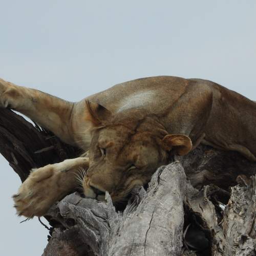 Photo #6600779