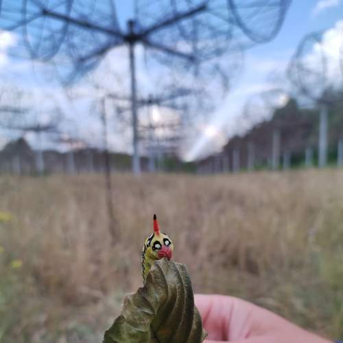 Photo #6600793