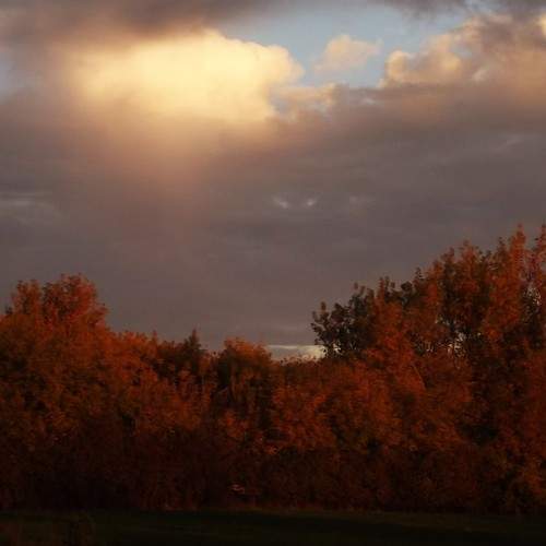 Photo #6601236