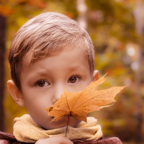 Photo #6601421